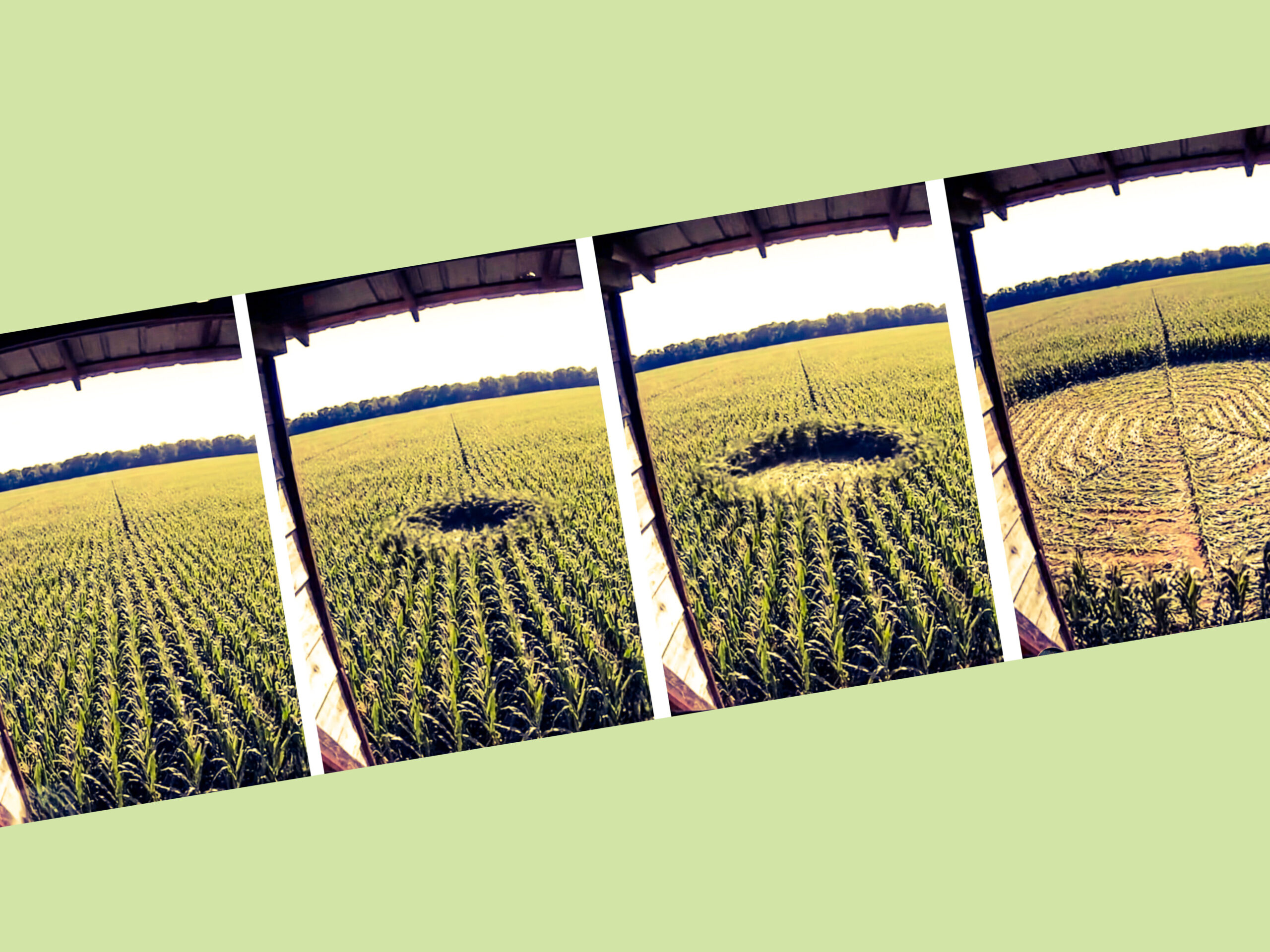 InShot 20251112 135038864 scaled