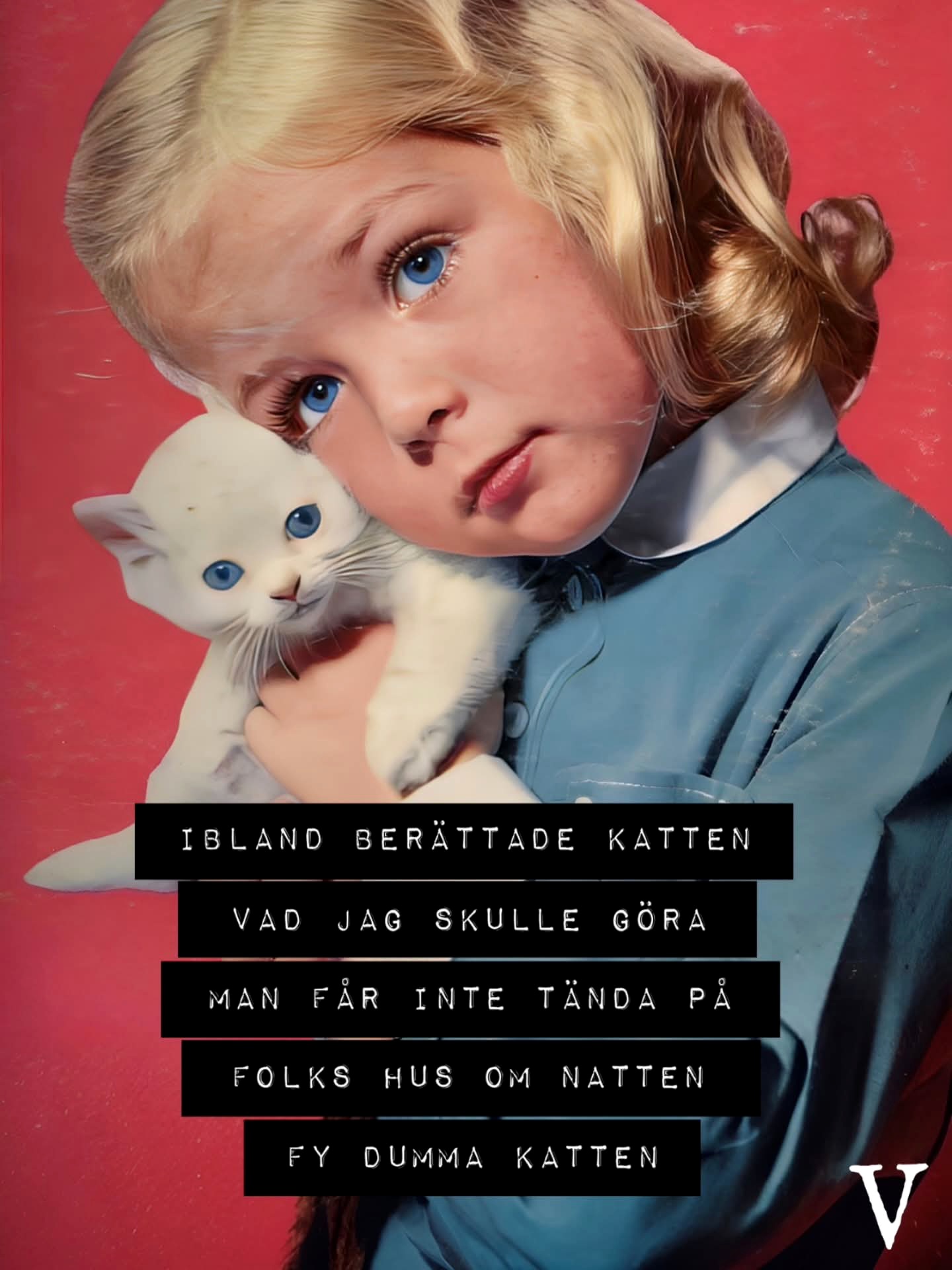 FB IMG 1773678972085 1