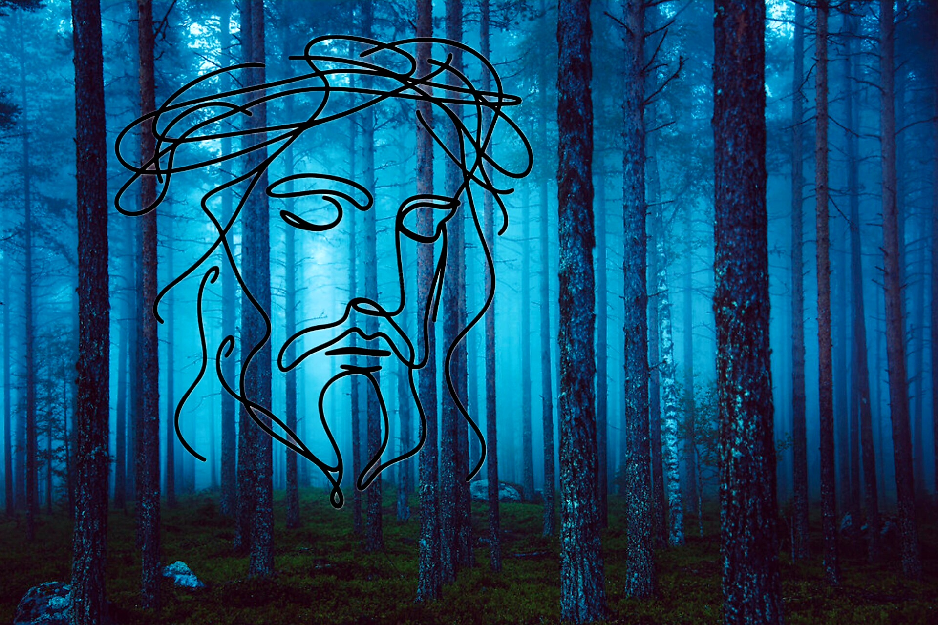 InShot 20260307 141050059