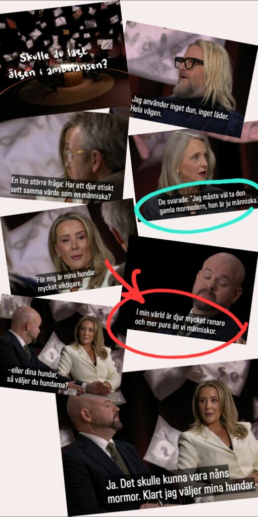 InShot 20260321 205011489