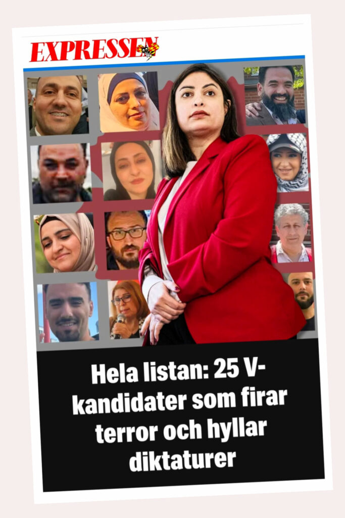 Lika stollar leka bäst? | En partitypologi 3 1000038287